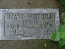 Whitfield, Infant